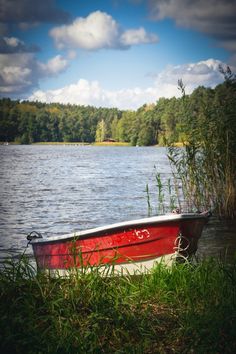 a red and white boat sitting on top of a lake next to tall green grass