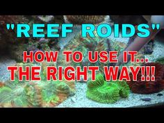 an aquarium filled with lots of different types of corals and seaweed, text reads reef rods how to use it the right way