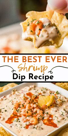 the best ever shrimp dip recipe