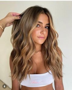 Transition To Brown Hair From Blonde, Highlight Lace Front Wig, Light Brunette Hair, Sandy Blonde Hair, Rambut Brunette, Summer Blonde Hair, Golden Blonde Highlights, Brown Hair Inspo, Bronde Hair