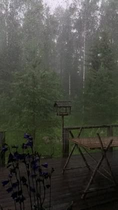 a wooden bench sitting in the middle of a forest on a rain soaked deck with purple flowers