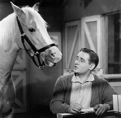 a man sitting at a desk next to a horse