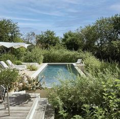 an outdoor pool surrounded by greenery and trees with lounge chairs around it, on a wooden deck