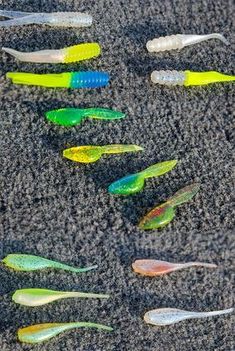 many different colored toothbrushes on the ground