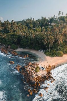 an aerial view of a beach with palm trees