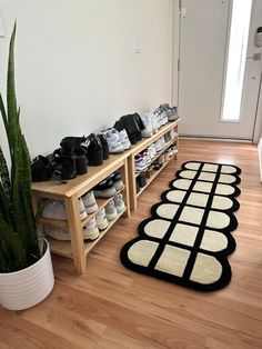 there is a large potted plant next to the shoe rack on the wooden floor