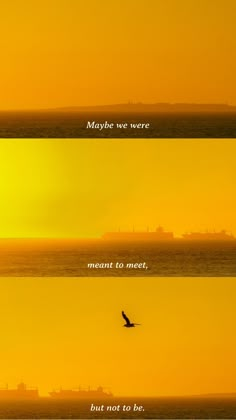 three different views of the ocean with two birds flying in front of them, and one is