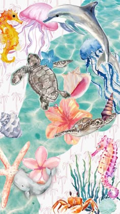 an ocean scene with sea animals and shells