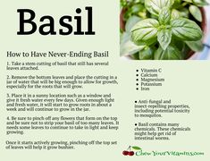 an advertisement for basil is featured in the magazine's article, how to have never - ending basil