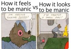 a comic strip with an image of a man in the background and text that reads how it feels how it looks to be manic vs to be manic