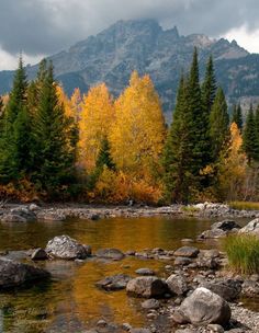 there is a mountain range in the background with trees and rocks on the ground near it