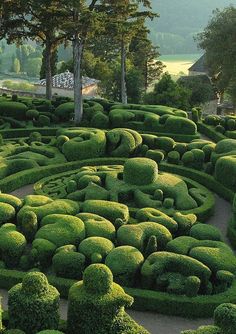 an image of a garden that looks like it is made out of bushes and trees