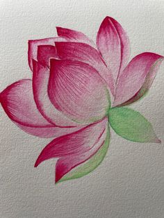 a drawing of a pink flower with green leaves