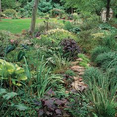 a garden filled with lots of different types of plants and flowers next to a tree