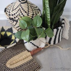 two woven baskets with plants in them on the floor next to a potted plant