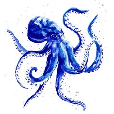 an ink drawing of an octopus with blue water droplets on it's body and head