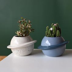 two pots with plants in them sitting on a table