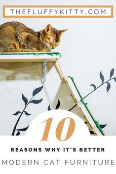 a cat sleeping on top of a shelf with the words 10 reasons why it's better modern cat furniture