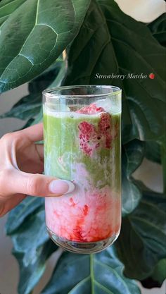 a hand holding up a glass filled with liquid next to a green leafy plant