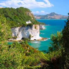 the coast is surrounded by trees and blue water, with white cliffs on either side