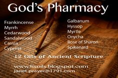 God's Pharmacy of Biblical Oils  Learn More about these oils by contacting janet.prayer@1791.com www.hsoils.blogspot.com Biblical Oils, Spiritual Science, Natural Health Care, Rose Of Sharon, Beauty Remedies, Diy Health, Oil Plant, Family Health, Young Living Essential Oils