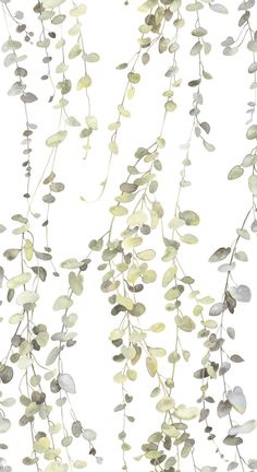 sample hanging watercolor vines peel stick wallpaper in taupe by york wallcoverings 1 Green Branches Wallpaper, White And Green Minimalist Wallpaper, Watercolor Vines, Modern Wallpaper Designs, Drops Patterns, Pattern Design Inspiration, Tropical Wallpaper, York Wallcoverings, Modern Wallpaper