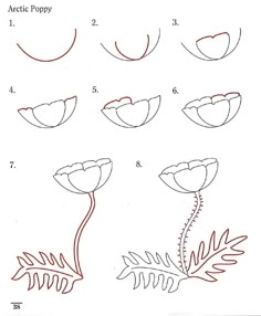 how to draw a flower with different shapes and sizes