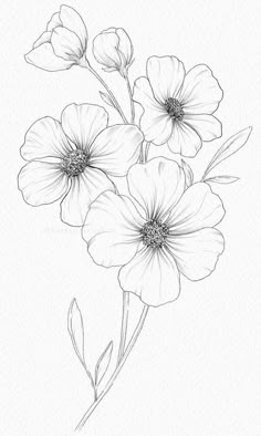 three flowers are shown in black and white