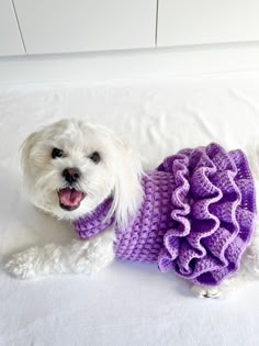 a small white dog wearing a purple sweater on top of a bed next to pillows