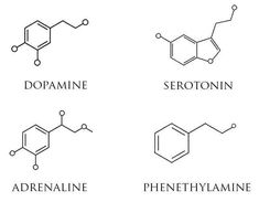 four different types of vitamins are shown in black and white, with the names above them