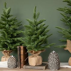 three small pine trees are in burlocks on a shelf next to two books