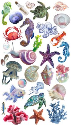 Sea animals, pearls, seaweed, shells Shark Stuff, Body Type Drawing, Sea Life Art, Sea Wallpaper, Fun Easy Crafts, Stickers Printable, Book Marks, Ocean Creatures, Sticker Ideas