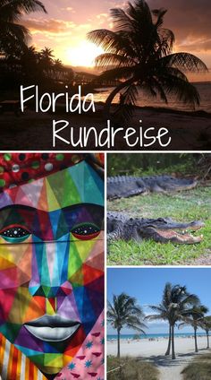 the florida rundrese with images of palm trees and an image of a woman's face