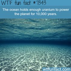 the ocean holds enough uranoum to power the planet for 10, 000 years