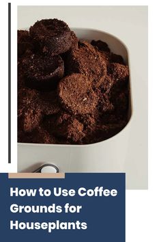 how to use coffee grounds for houseplants