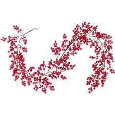 red berries are arranged in the shape of a letter