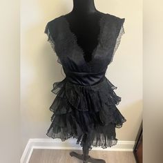 Gorgeous Black Bgbg Tulle Dress, Perfect For A Party. Light Lace Fabric On The Sleeve Of Dress With Thicker Fabric Underneath. Long Zipper That Allows The Dress To Be Easily Put On And Taken Off. Never Worn Before! Great Condition! Size 4. Chic Tiered Mini Dress For Evening, Black Tiered Dress For Party, V-neck Party Evening Dress With Lace Trim, Lace Mini Dress With Ruffles For Party, Lace Evening Dress With Ruffles, Flirty Evening Dress With Lace Trim, Lace Dresses With Ruffles For Night Out, Elegant Tiered Mini Dress For Formal Occasions, Black Tiered Dress For Night Out