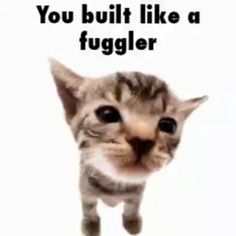 You know its bad when you hear that in ur head ㅤ ㅤ Use Elgatito in Fortnite item shop pls ㅤ ㅤ ㅤ ㅤ ㅤ ㅤ ㅤ #cats #meme #elgatito #fyp #reels #catmemes Funny Reactions, Silly Goober, Brain Damage, Phone Theme