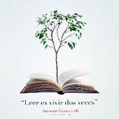 an open book with a tree growing out of it