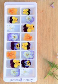 an ice tray filled with flowers on top of a wooden table