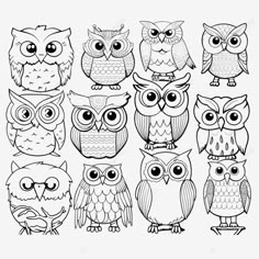 coloring pages set with cute owls doodle birds for coloring book owl cartoon owl cartoon line png Cute Owl Coloring Pages, Owl Clipart Black And White, Owl Template Printable Free, Bird Doodle Art, Cartoon Owl Drawing, Cute Owl Art, Watercolor Owls, Everything Drawing