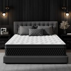 a black and white bedroom with an upholstered bed, nightstands, and two lamps