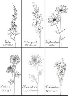 four different types of flowers are shown in black and white, each with their own name