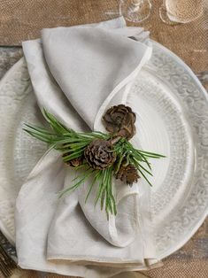 a white plate topped with a napkin covered in pine cones