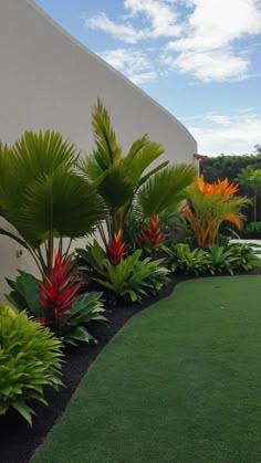 an outdoor area with grass, flowers and plants on the side of a building that has a white wall in the background