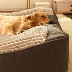 a dog laying on top of a bed in the middle of a living room area