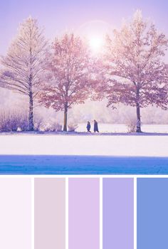 two people are sitting on a bench in the snow, with trees and blue sky behind them