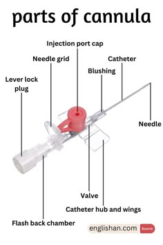 Types Of Nurses, Types Of Injection, Phlebotomy Study, Medical Terminology Study, Nursing School Essential, Quiz With Answers, Nursing School Motivation