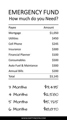 an image of a table with money and savings for the emergency fund, which includes $ 3