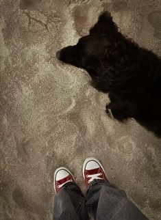 a black dog laying on top of a floor next to someone's feet and shoes